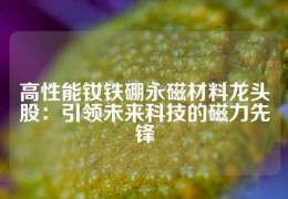 高性能釹鐵硼永磁材料龍頭股：引領未來科技的磁力先鋒