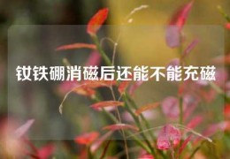 釹鐵硼消磁后還能不能充磁