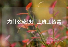 為什么磁鐵廠上班工資高