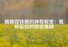 揭秘釹鐵硼的神奇蛻變：氫碎反應(yīng)的驚世奧秘