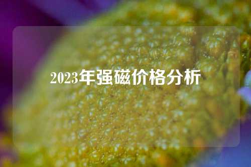 2023年強磁價格分析