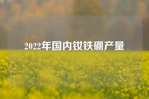 2022年國內釹鐵硼產量