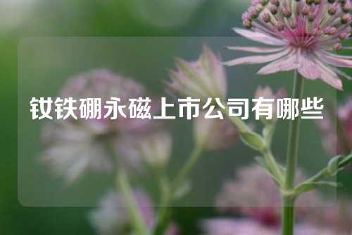 釹鐵硼永磁上市公司有哪些