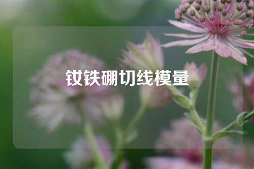 釹鐵硼切線模量