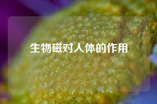 生物磁對人體的作用