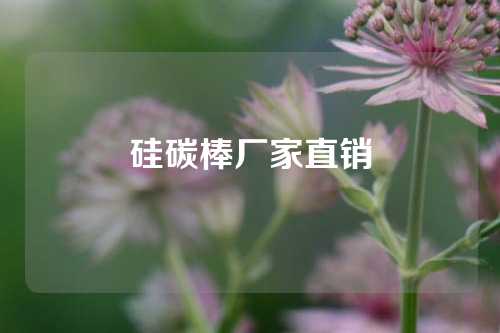 硅碳棒廠家直銷