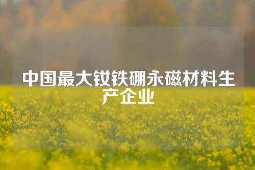 中國最大釹鐵硼永磁材料生產企業