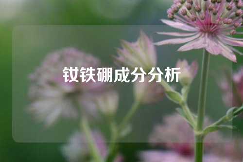 釹鐵硼成分分析