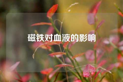 磁鐵對(duì)血液的影響