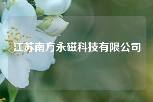 江蘇南方永磁科技有限公司