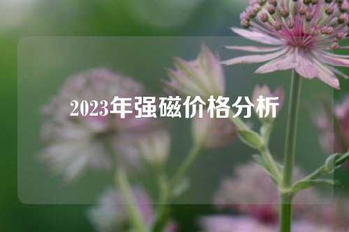 2023年強磁價格分析