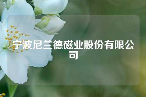 寧波尼蘭德磁業股份有限公司