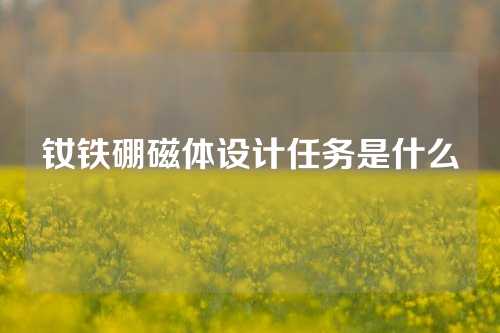 釹鐵硼磁體設(shè)計任務(wù)是什么