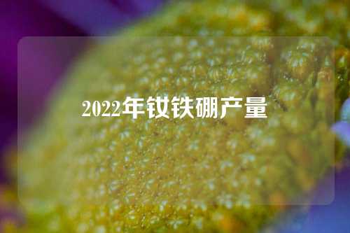 2022年釹鐵硼產(chǎn)量