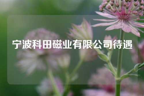 寧波科田磁業(yè)有限公司待遇