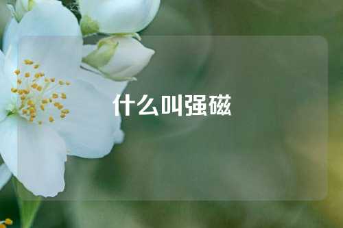 什么叫強(qiáng)磁