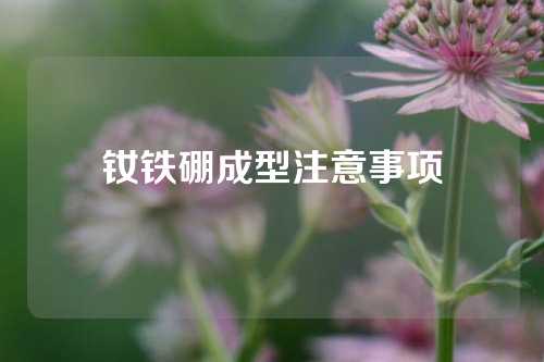 釹鐵硼成型注意事項(xiàng)