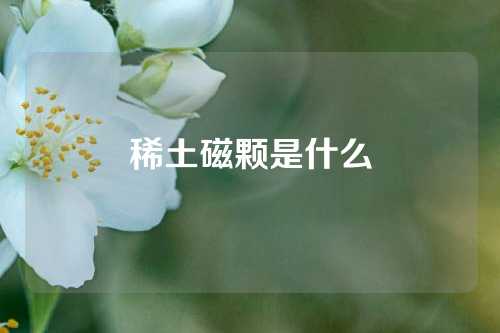 稀土磁顆是什么