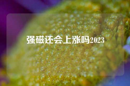 強磁還會上漲嗎2023