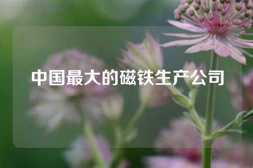 中國最大的磁鐵生產公司