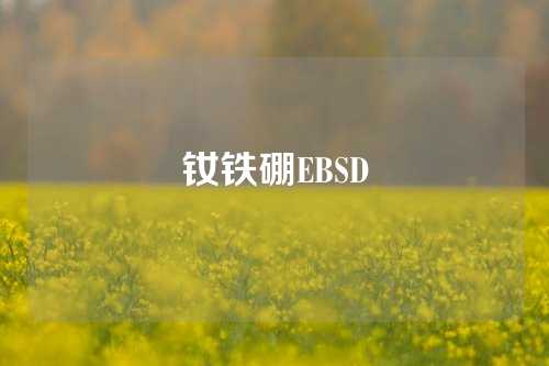 釹鐵硼EBSD