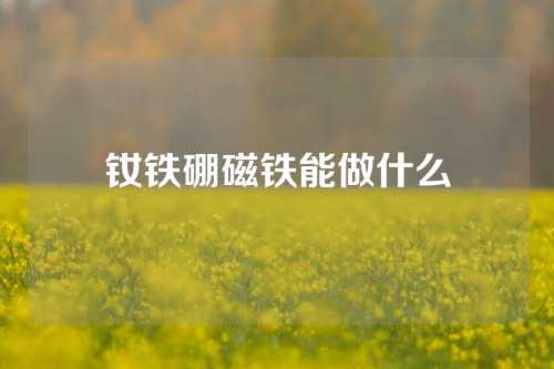 釹鐵硼磁鐵能做什么