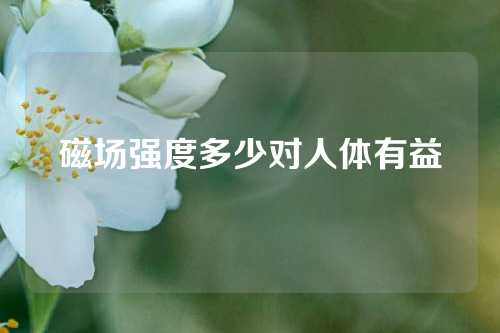 磁場(chǎng)強(qiáng)度多少對(duì)人體有益