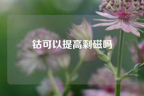 鈷可以提高剩磁嗎