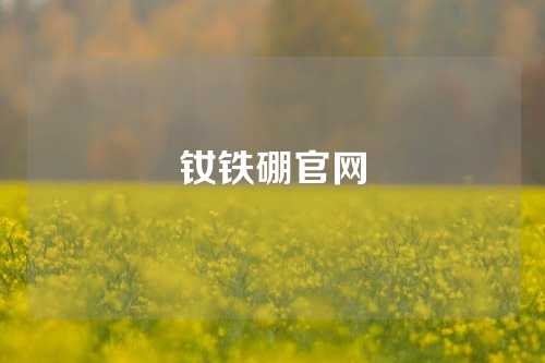 釹鐵硼官網(wǎng)