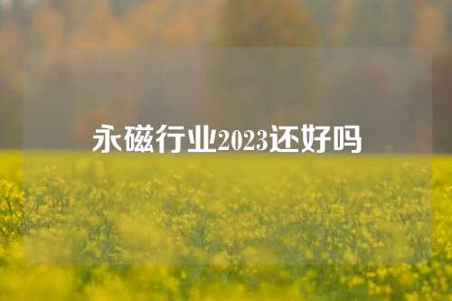 永磁行業(yè)2023還好嗎