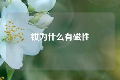 釹為什么有磁性