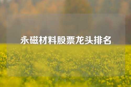 永磁材料股票龍頭排名