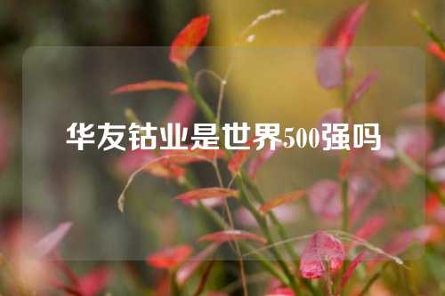 華友鈷業(yè)是世界500強嗎