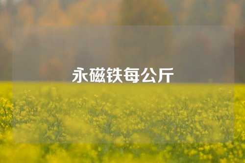 永磁鐵每公斤