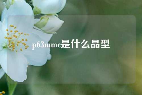 p63mmc是什么晶型