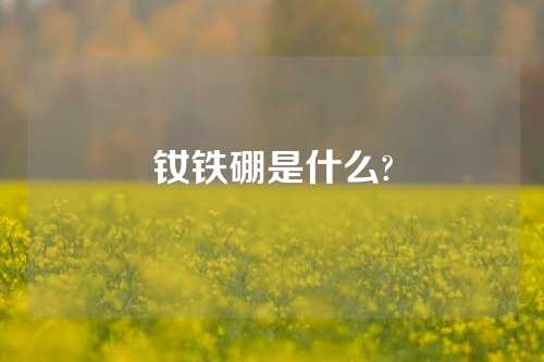 釹鐵硼是什么?