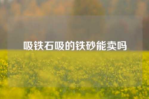 吸鐵石吸的鐵砂能賣嗎