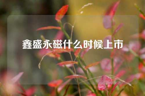 鑫盛永磁什么時候上市