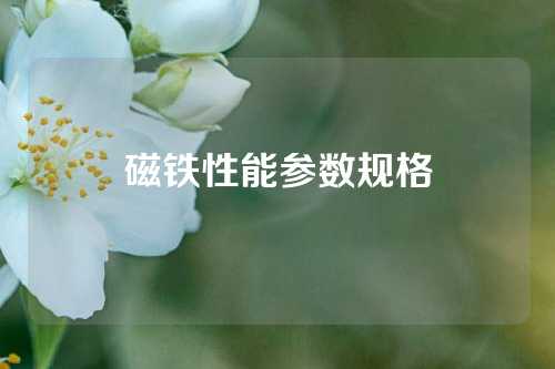 磁鐵性能參數(shù)規(guī)格