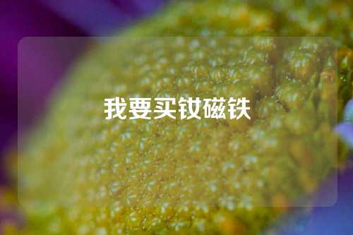 我要買(mǎi)釹磁鐵