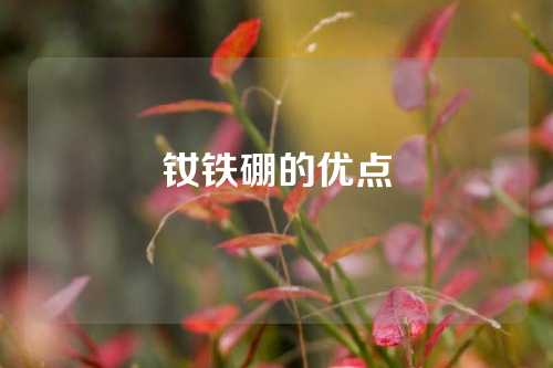 釹鐵硼的優(yōu)點(diǎn)