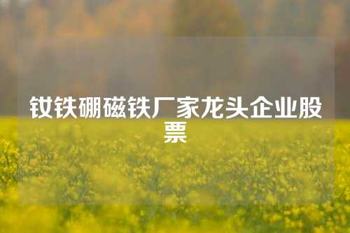 釹鐵硼磁鐵廠家龍頭企業股票