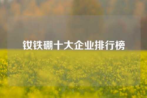 釹鐵硼十大企業排行榜