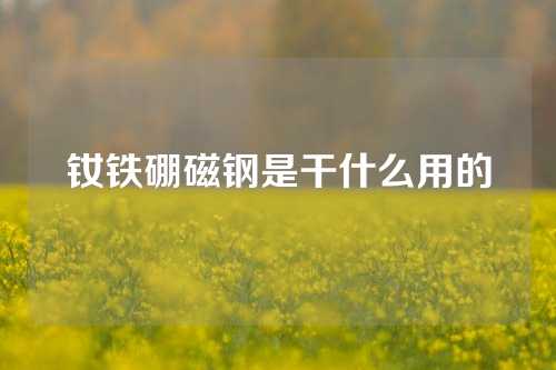 釹鐵硼磁鋼是干什么用的