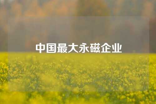 中國最大永磁企業(yè)