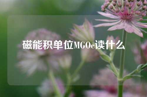 磁能積單位MGOe讀什么