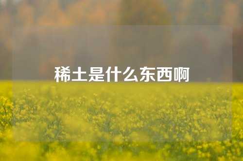 稀土是什么東西啊