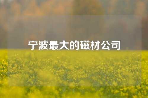 寧波最大的磁材公司