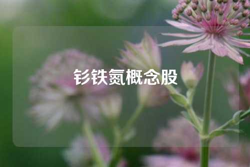 釤鐵氮概念股