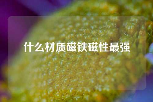 什么材質(zhì)磁鐵磁性最強